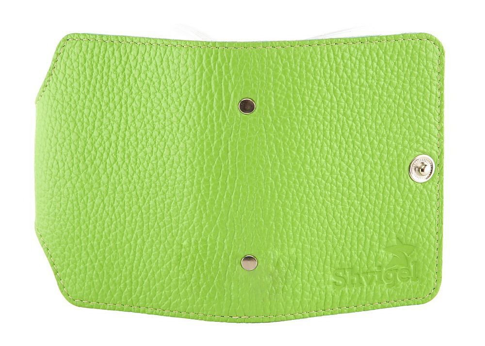 Leather Business Card Holder SHVIGEL 00105 Brown Genuine Leather for Business Cards